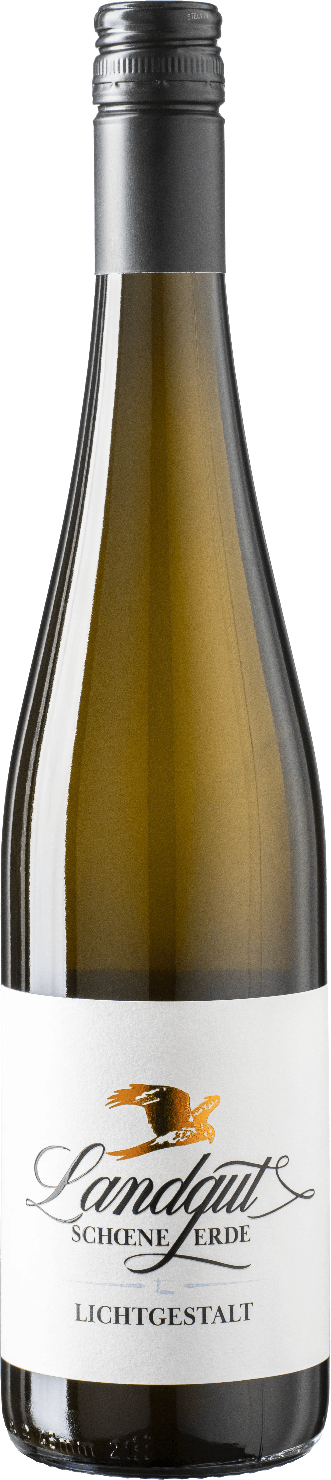 Lichtgestalt 2024 - Muscaris