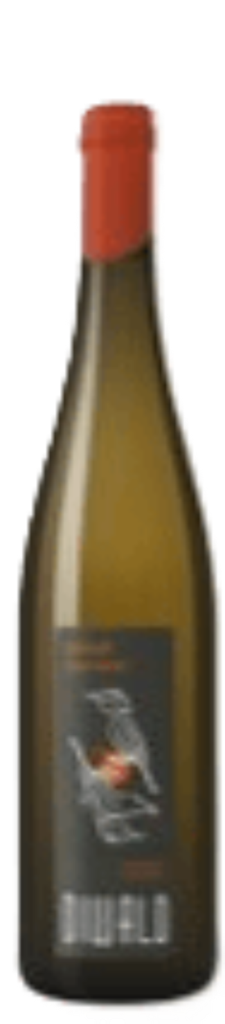 Zündstoff Grüner Veltliner 2019