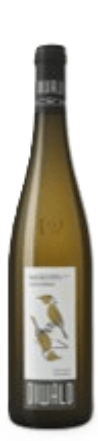 Ried Goldberg 1 ÖTW Grüner Veltliner 2019